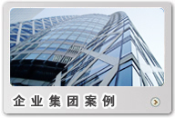 企業(yè)集團案例