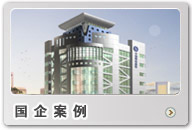 國企案例