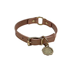 Liaison狗項圈 Liaison Dog Collar