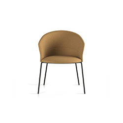 Copa 餐椅/洽談椅 Copa Dining chair
