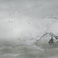 梅-原創(chuàng  )定制壁畫(huà) mural