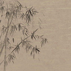 鳳竹-原創(chuàng  )定制壁畫(huà) mural