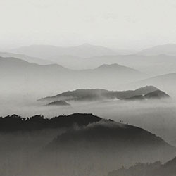 山霧-原創(chuàng  )定制壁畫(huà) mural
