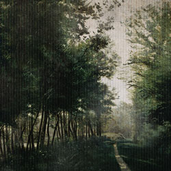 曲徑-原創(chuàng  )定制壁畫(huà) murals
