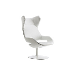 進(jìn)化休閑椅 evolution lounge chair
