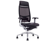 網(wǎng)布大班椅 Mesh Executive Chair