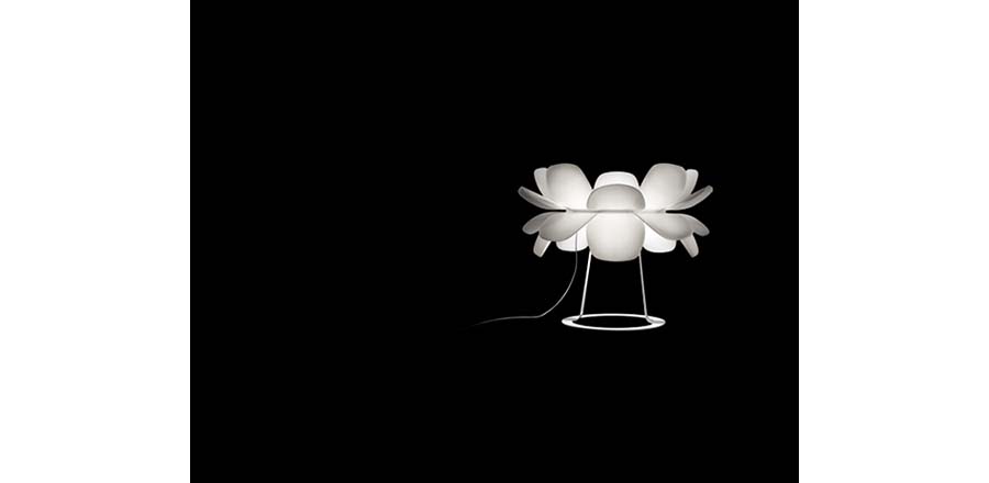 F(jng)|_|kҾ|InfioreF_ CGT1111