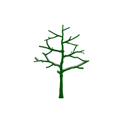 樹(shù)書(shū)柜 tree bookcase