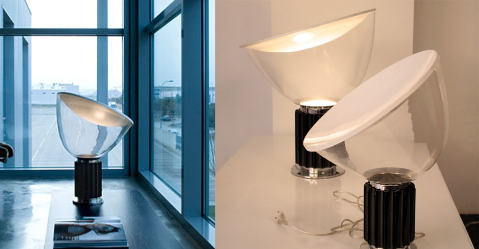 F(jng)|_|kҾ|FLOS Taccia__
