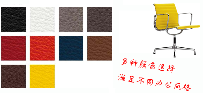 真皮會(huì